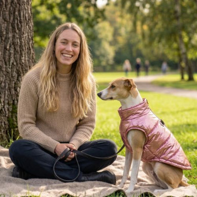 whippet assis au parc porte manteau chien imperméable